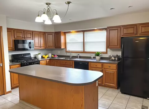 16101 Debra Dr, Oak Forest, IL 60452 photo 7