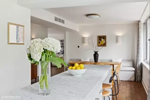 1 E Schiller St #7A, Chicago, IL 60610 photo 8