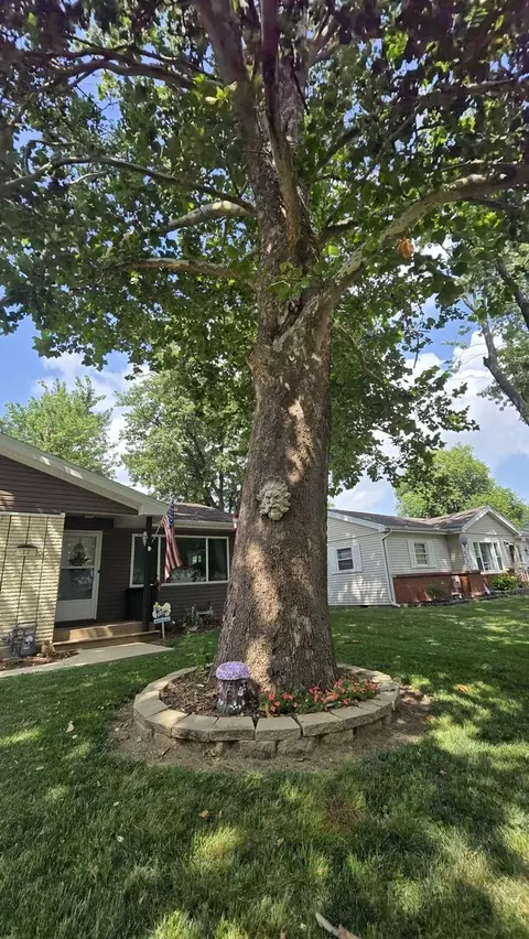 Exterior - 12 Durell Dr, Kankakee, IL 60901 photo 10 of 10