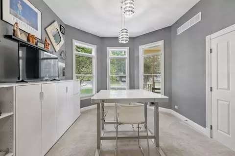 Other - 23635 W Chicago St, Plainfield, IL 60544 photo 8 of 17
