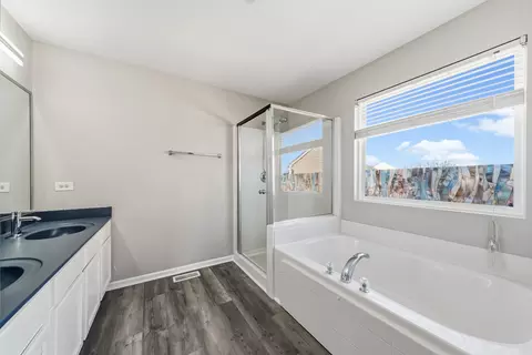 Bath - 6407 Coyote Ridge Ct, Plainfield, IL 60586 photo 3 of 3