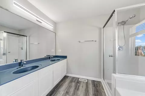 Bath - 6407 Coyote Ridge Ct, Plainfield, IL 60586 photo 2 of 3