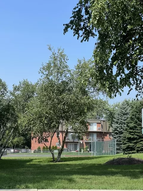 565 Fairway View Dr #2L, Wheeling, IL 60090 photo 16