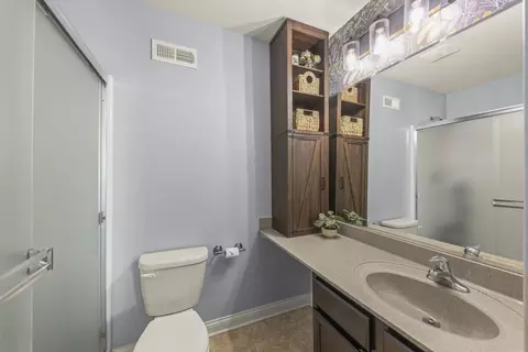 Bath - 3627 Daisy Ln, Elgin, IL 60124 photo 2 of 3