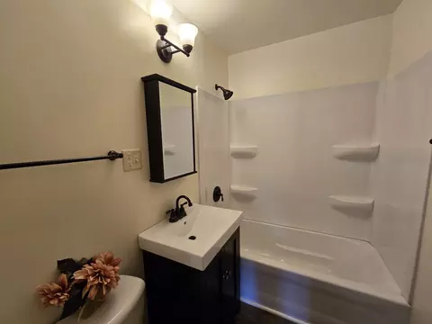Bath - 3620 Arthur Ter, Markham, IL 60426 photo 1 of 1