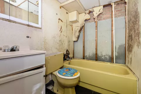 Bath - 513 E 87th St, Chicago, IL 60619 photo 2 of 2