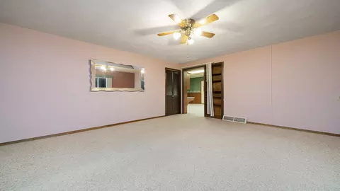 303 N Stanton St, Davis, IL 61019 photo 22