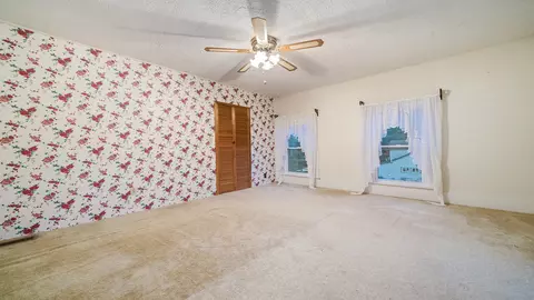 303 N Stanton St, Davis, IL 61019 photo 17