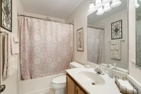 Bath - 6068 Morningside Ct, Gurnee, IL 60031 photo 2 of 2