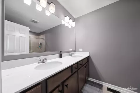 Bath - 875 Finley Dr, Aurora, IL 60504 photo 2 of 4