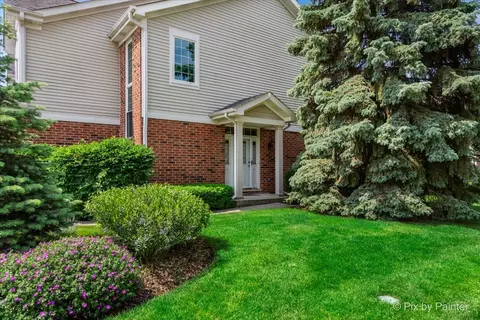 7204 Chestnut Hills Dr, Burr Ridge, IL 60527 photo 4