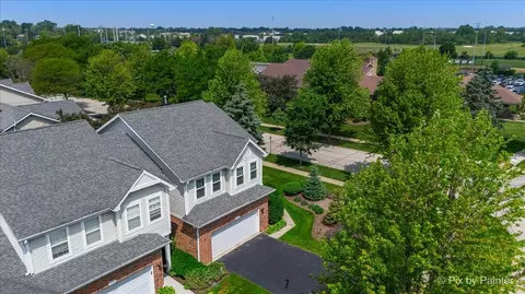 7204 Chestnut Hills Dr, Burr Ridge, IL 60527 photo 40