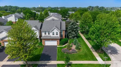 7204 Chestnut Hills Dr, Burr Ridge, IL 60527 photo 39