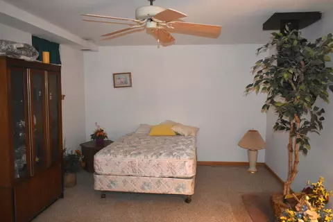 105 Jefferson St, Benson, IL 61516 photo 29