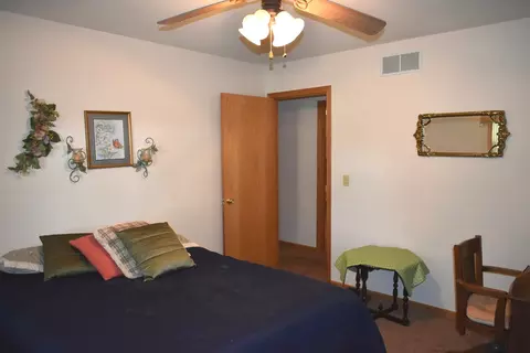 105 Jefferson St, Benson, IL 61516 photo 19