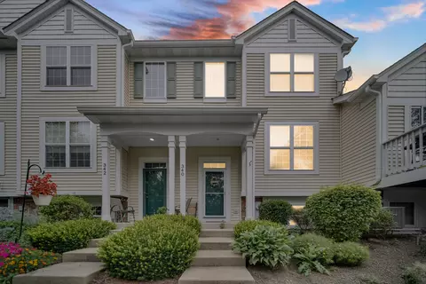 340 Terra Springs Cir, Volo, IL 60020