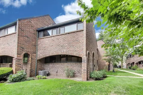 821 S Racine Ave #D, Chicago, IL 60607