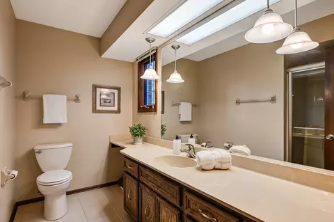 Bath - 8141 Ridgepointe Dr, Burr Ridge, IL 60527 photo 2 of 4