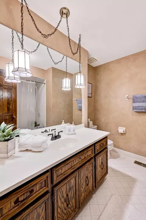 Bath - 8141 Ridgepointe Dr, Burr Ridge, IL 60527 photo 3 of 4