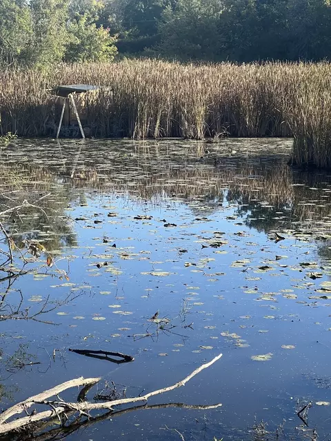 35506 N Helendale Rd, Ingleside, IL 60041