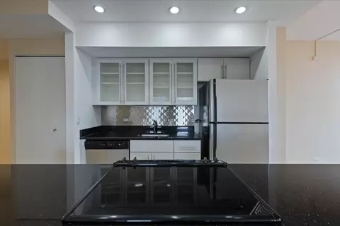 Kitchen - 40 E 9th St #1802, Chicago, IL 60605 photo 3 of 5