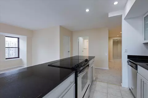 Kitchen - 40 E 9th St #1802, Chicago, IL 60605 photo 4 of 5