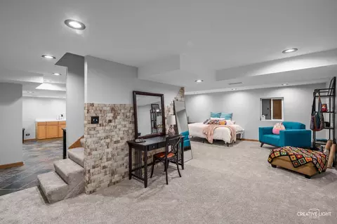 Other - 25048 Michele Dr, Plainfield, IL 60544 photo 8 of 8