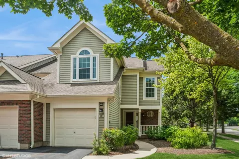 251 Cobblestone Ct, Schaumburg, IL 60173