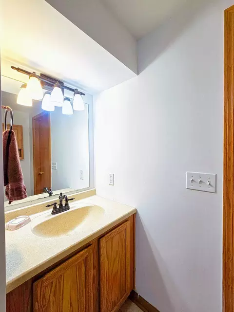 Bath - 26713 S Center Rd, Monee, IL 60449 photo 5 of 5
