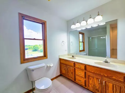 Bath - 26713 S Center Rd, Monee, IL 60449 photo 4 of 5