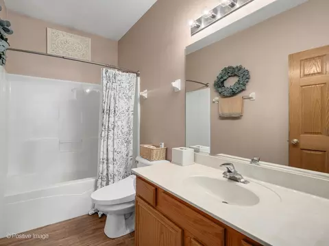 24231 Mill Creek Ln, Plainfield, IL 60586 photo 17