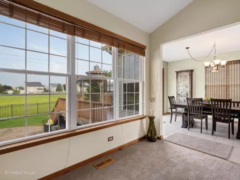 24231 Mill Creek Ln, Plainfield, IL 60586 photo 6