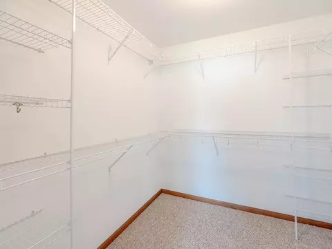 21217 Silktree Cir, Plainfield, IL 60544 photo 8