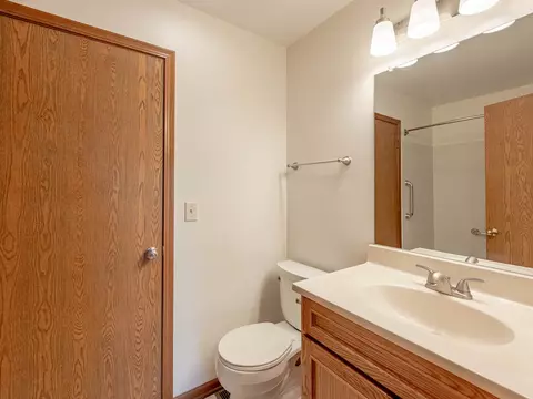 21217 Silktree Cir, Plainfield, IL 60544 photo 11