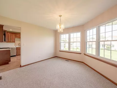 21217 Silktree Cir, Plainfield, IL 60544 photo 3