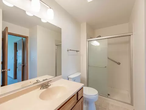 21217 Silktree Cir, Plainfield, IL 60544 photo 9