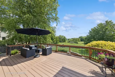 13113 Skyline Dr, Plainfield, IL 60585 photo 31