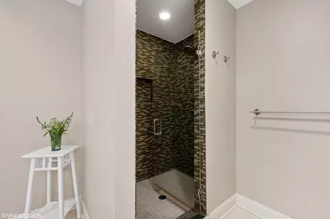 239 Circle Ave, Forest Park, IL 60130 photo 17