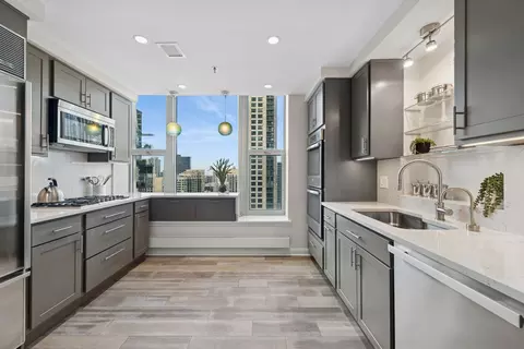 25 E Superior St #2402, Chicago, IL 60611 photo 12
