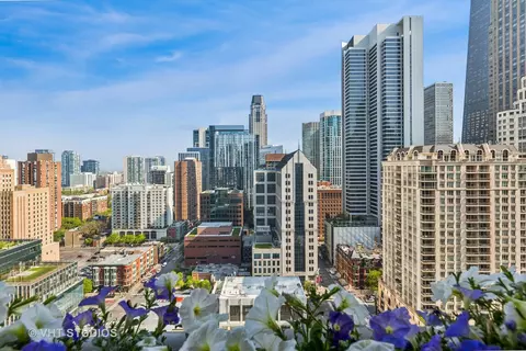 25 E Superior St #2402, Chicago, IL 60611 photo 11