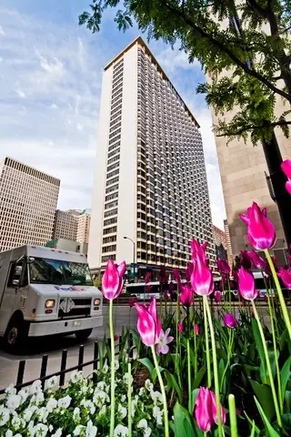 535 N Michigan Ave #2206, Chicago, IL 60611