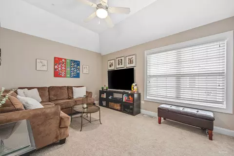 12534 Lily Ln, Plainfield, IL 60585 photo 24