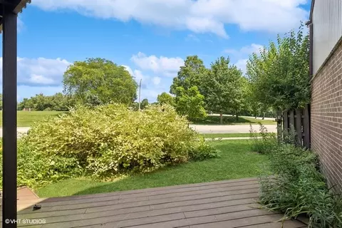 776 Golfview Dr, Roselle, IL 60172 photo 26