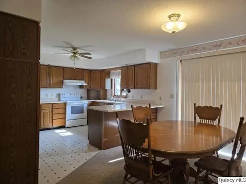 400 N 4th St, Carthage, IL 62321 photo 4