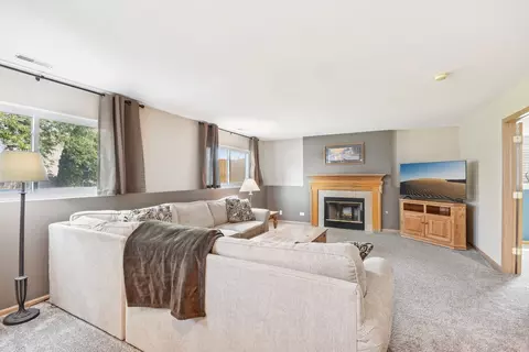 12207 S White Oak Dr, Plainfield, IL 60585 photo 13