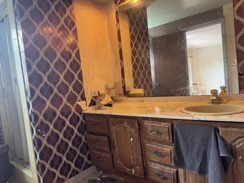 Bath - 421 E Wise Rd, Schaumburg, IL 60193 photo 1 of 7