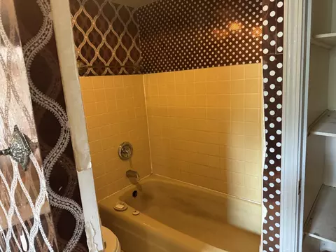 Bath - 421 E Wise Rd, Schaumburg, IL 60193 photo 2 of 7