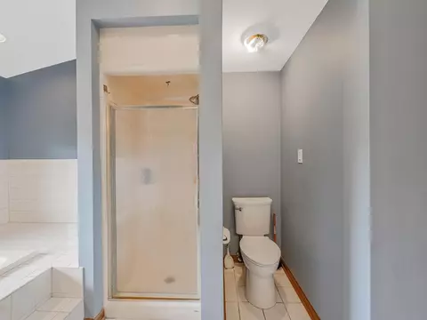 Bath - 7240 W Colleen Ct, Monee, IL 60449 photo 11 of 12