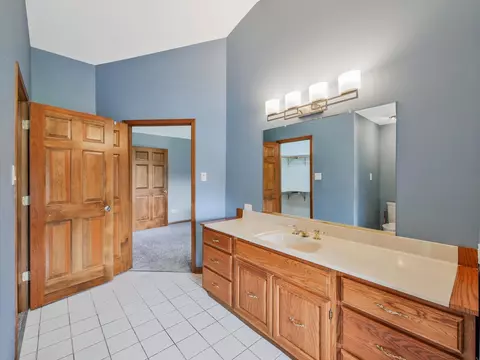 Bath - 7240 W Colleen Ct, Monee, IL 60449 photo 12 of 12