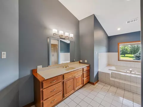 Bath - 7240 W Colleen Ct, Monee, IL 60449 photo 10 of 12